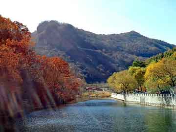 新澳天天开奖资料大全旅游团，标致论坛